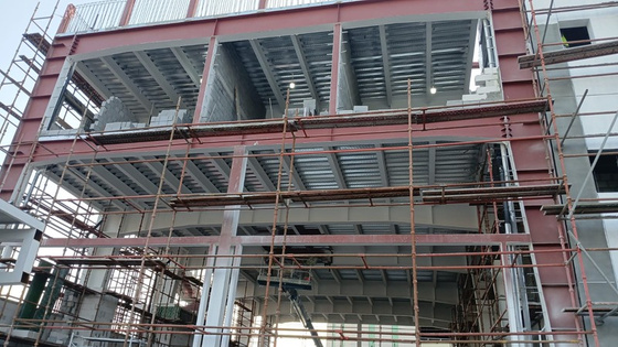 Fireproofed steel